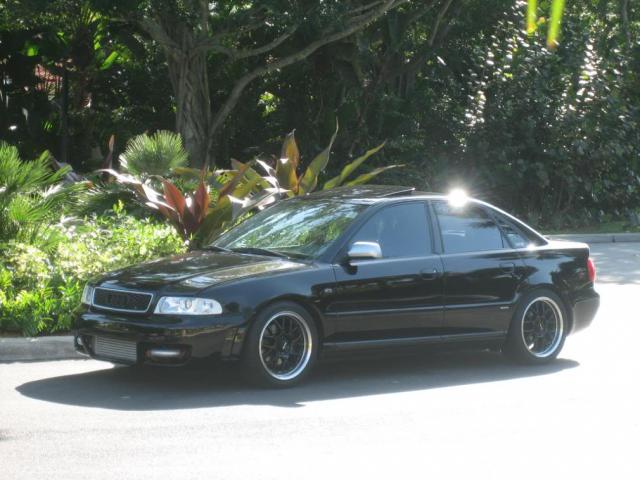 339405IMG0963.jpg