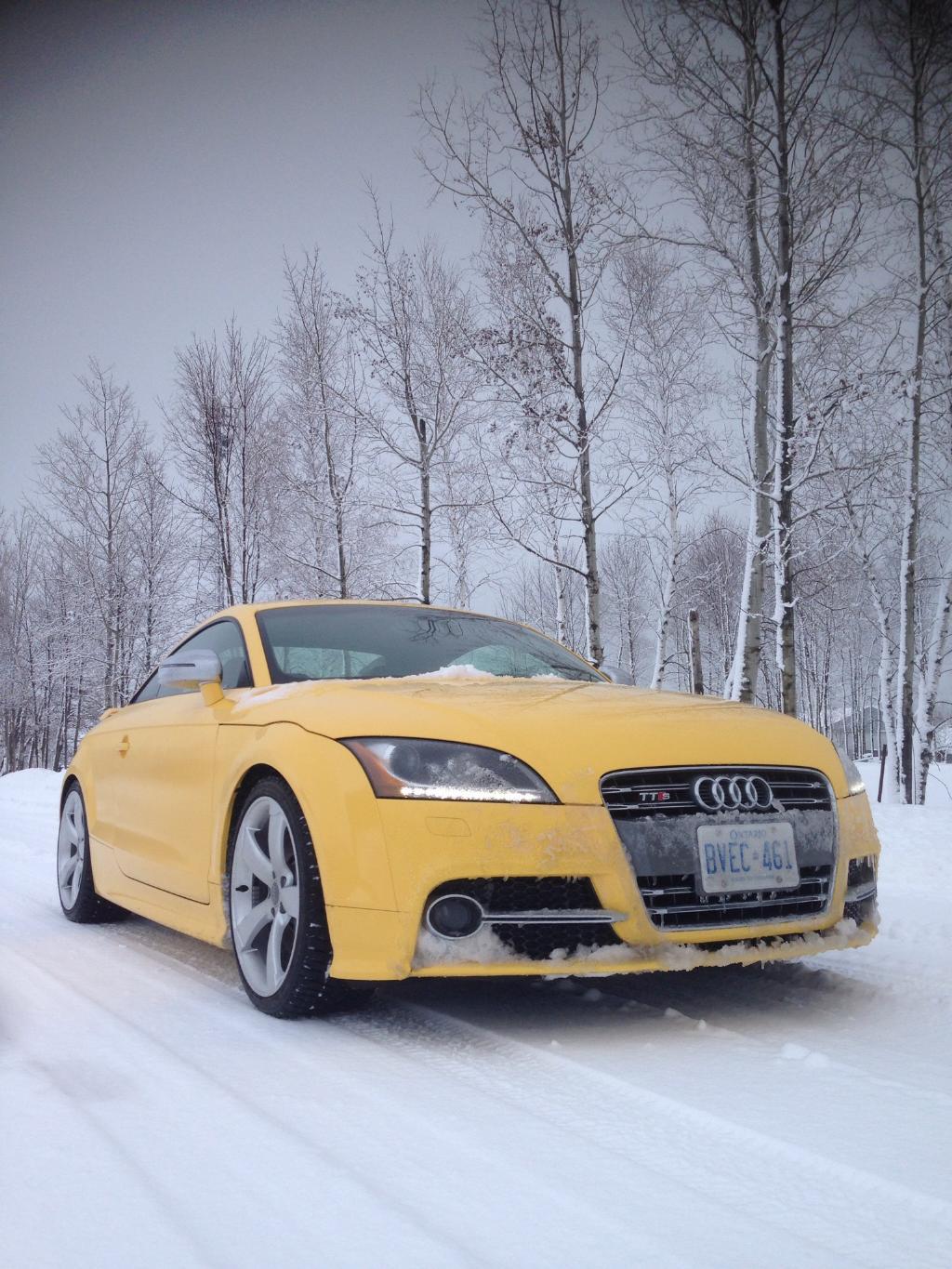 3448101159NEIGE.jpg