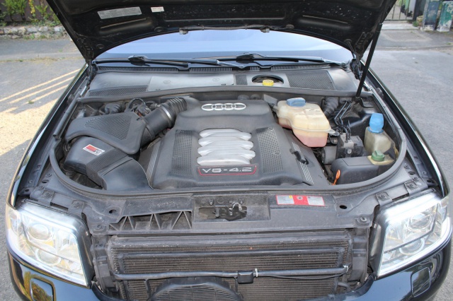345078IMG0439.jpg