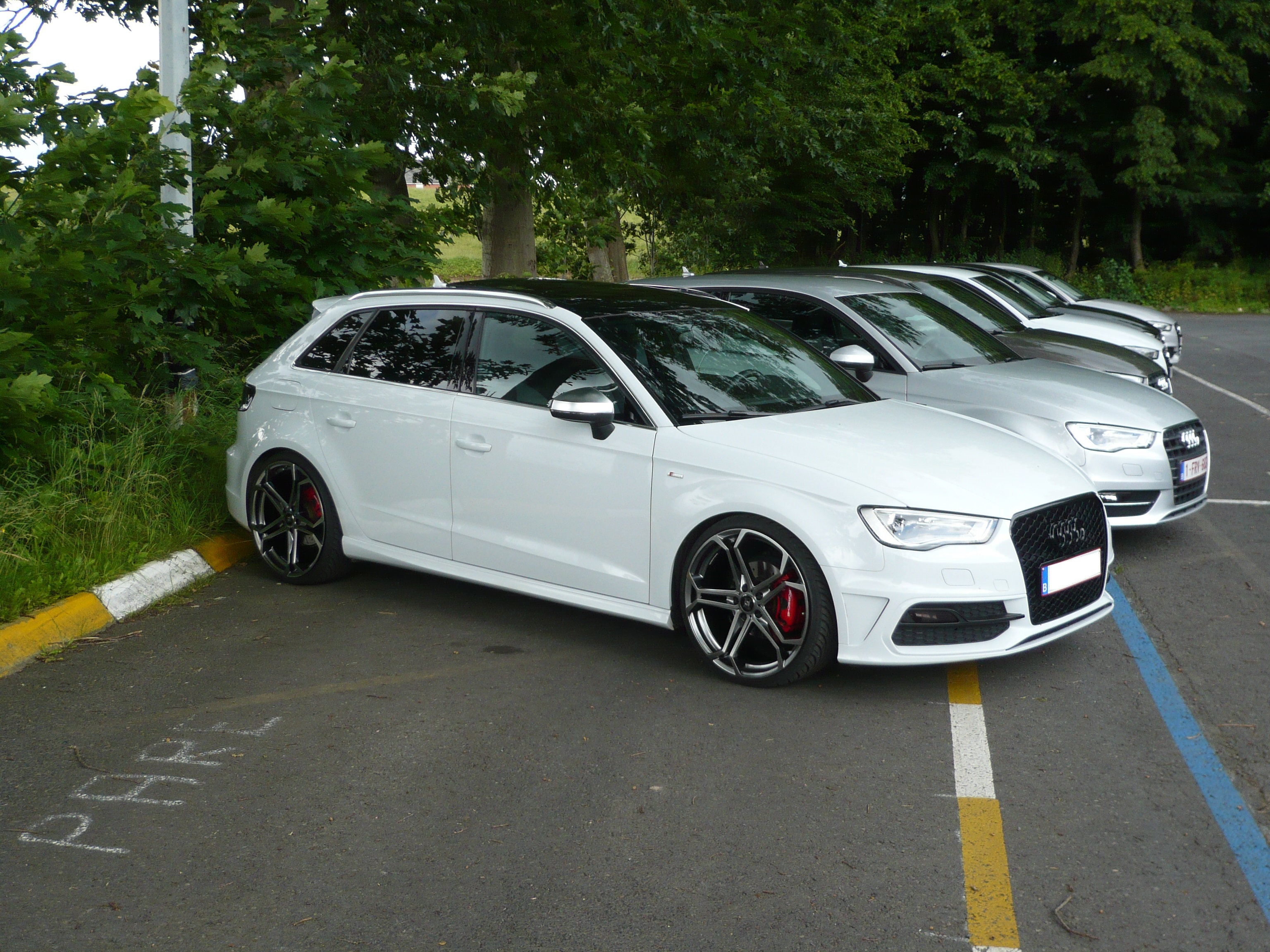 347581P1020636Copie.jpg