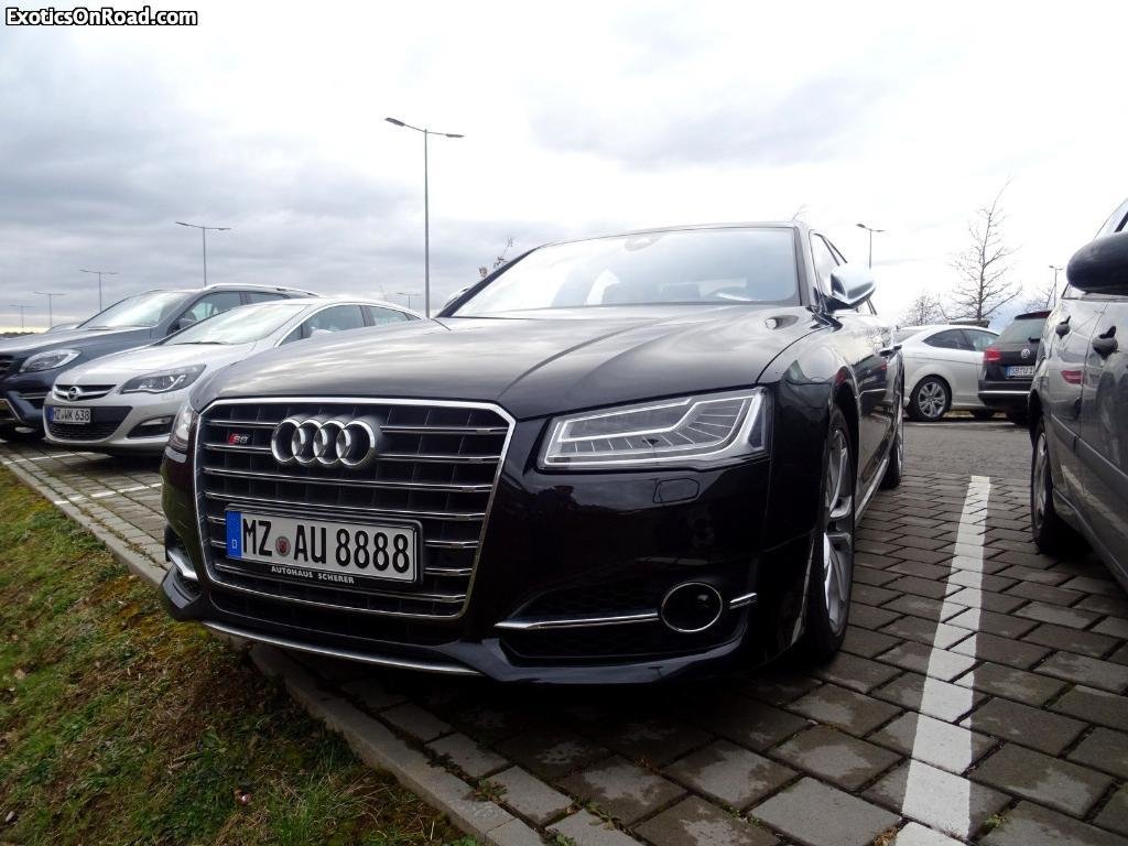349650S8D41455.jpg