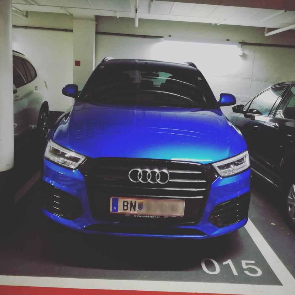 349917Q31224.jpg