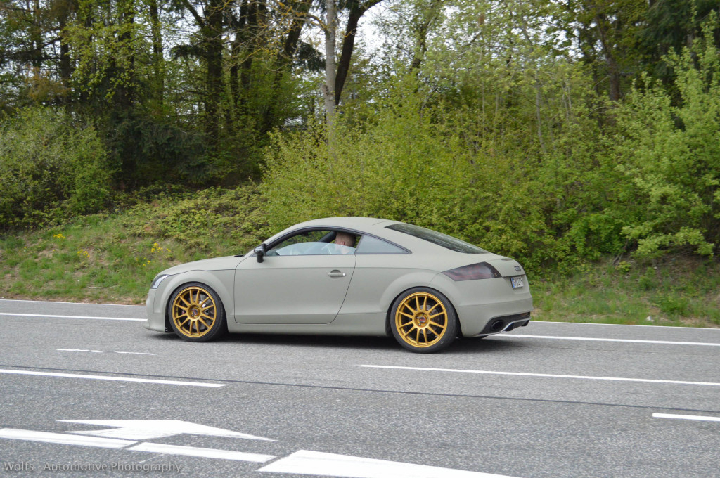 350035AUDITTRS1555.jpg