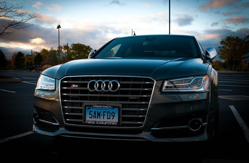 350194S8D41129.jpg