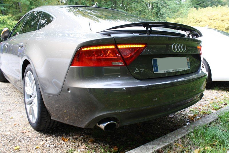 350936IMG5197.jpg
