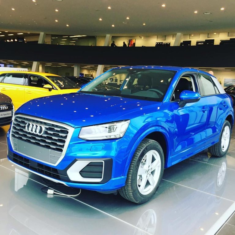 351894AUDIQ20488.jpg