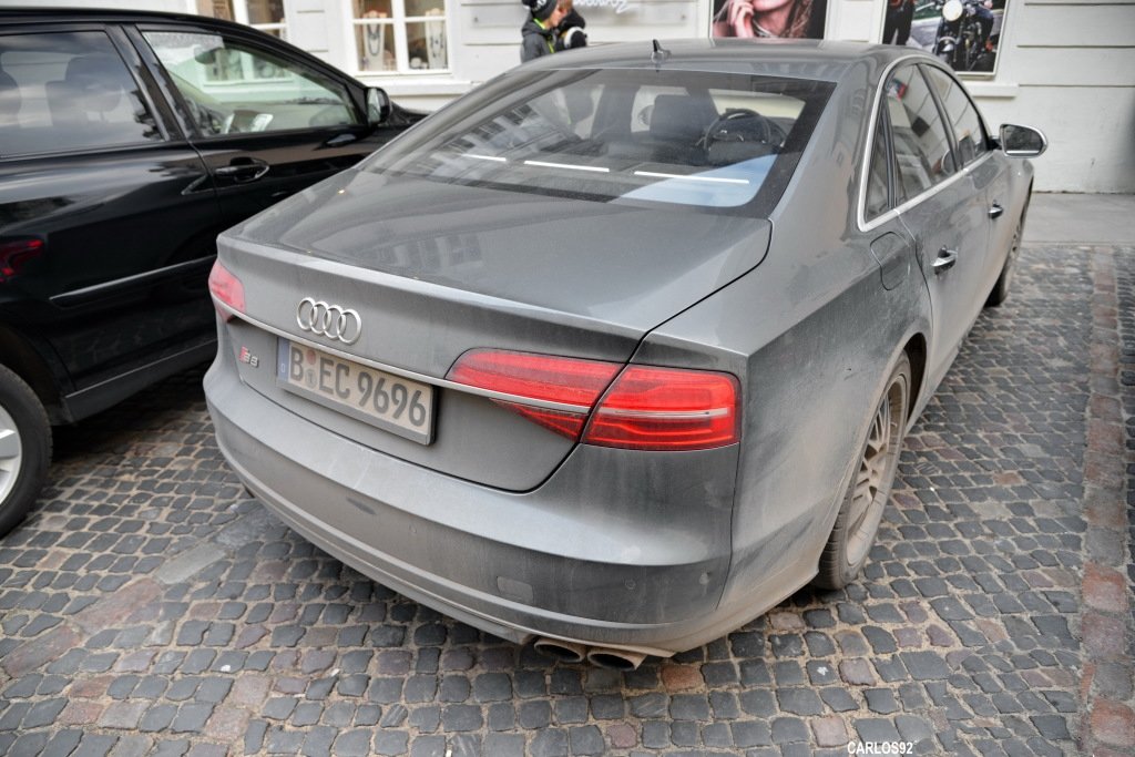 353006S8D41393.jpg