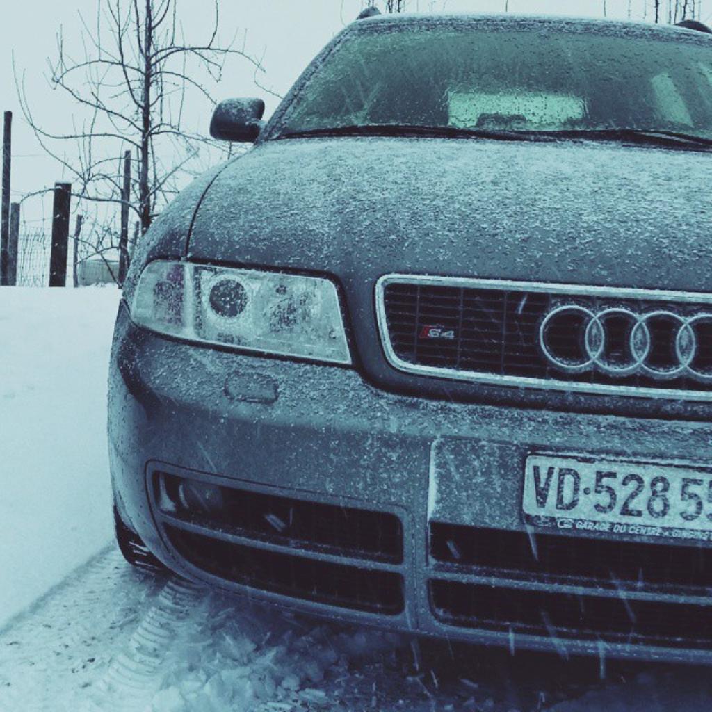 3542751221NEIGE.jpg