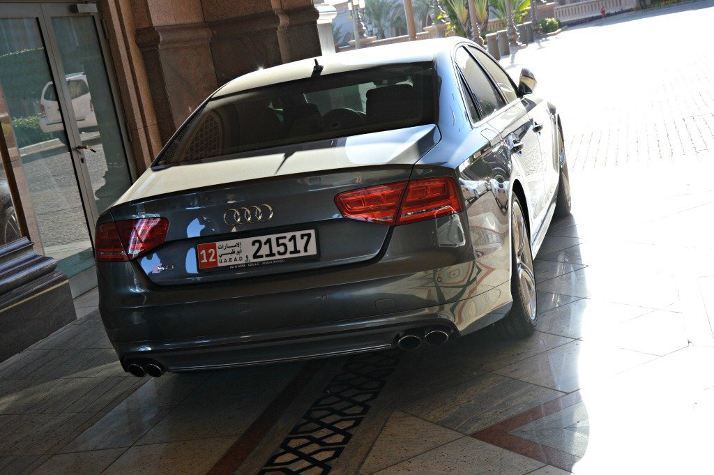 356813S8D4835.jpg
