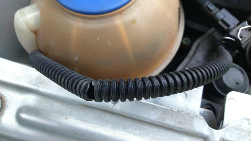 357219DSC0145.jpg
