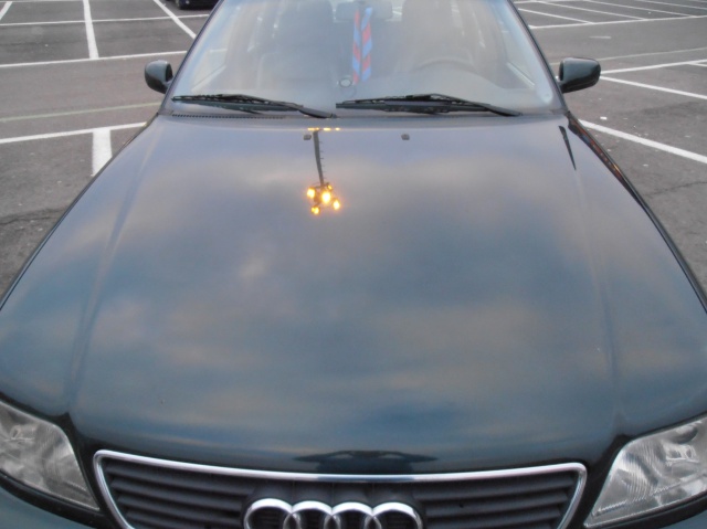 357889P2260257.jpg