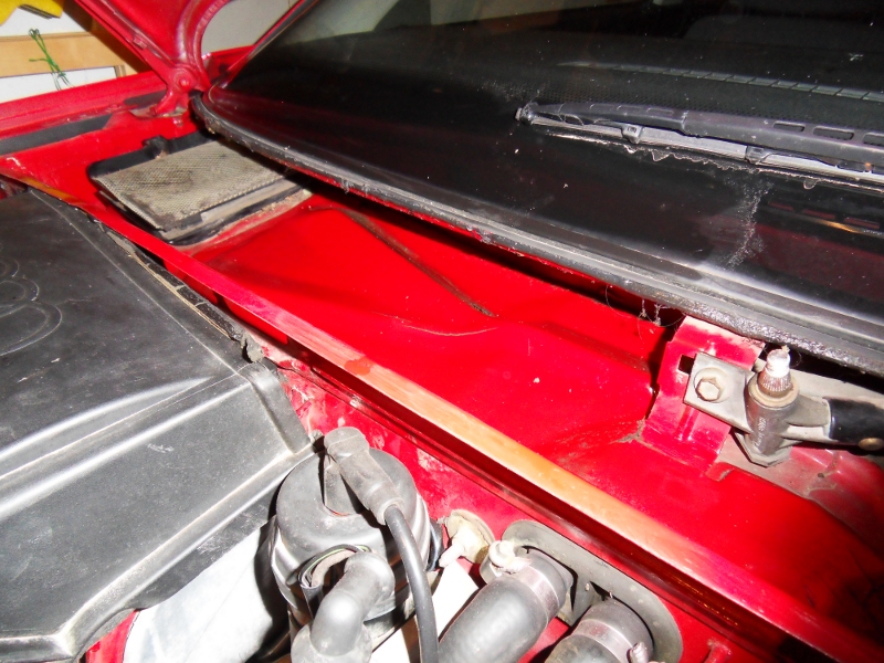 360887SDC12344.jpg