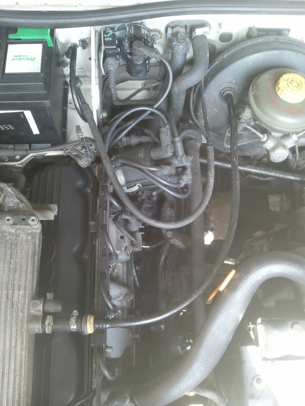362511Photo6326.jpg