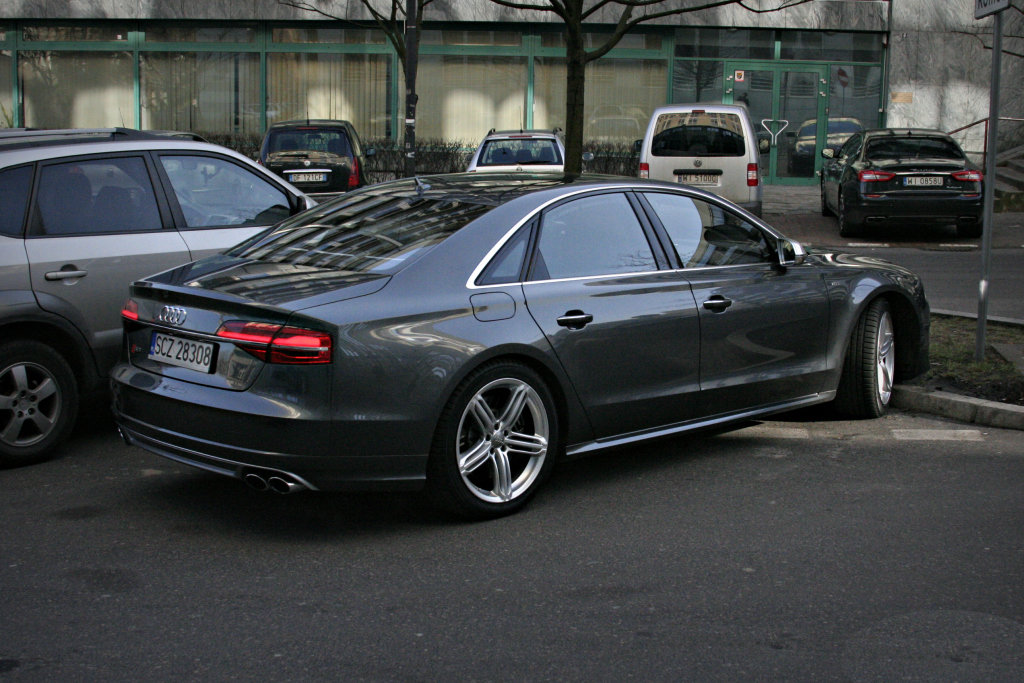 362709S8D41328.jpg