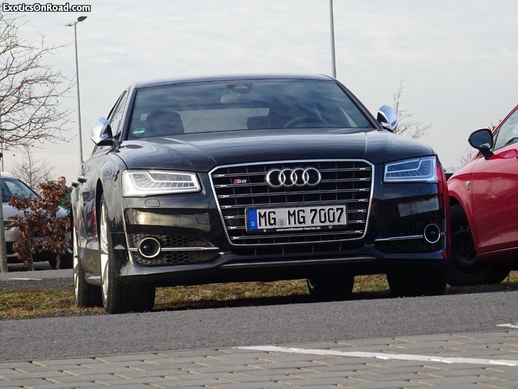 364041S8D41460.jpg