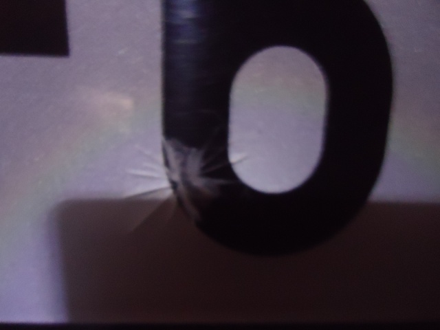 366086DSC04600.jpg