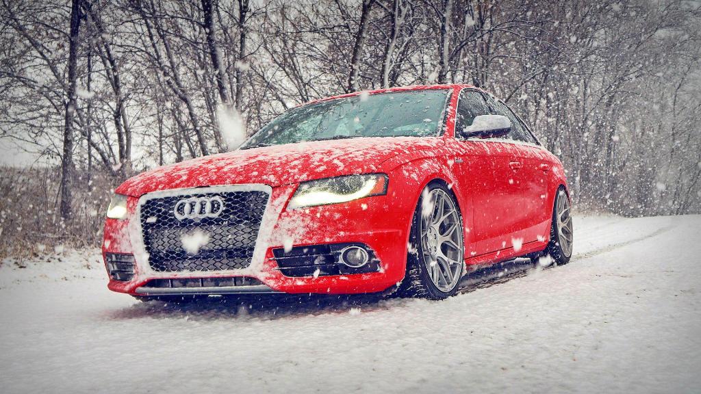 366593902NEIGE.jpg