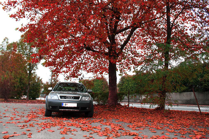368062A6C5ESQUIROU023.jpg