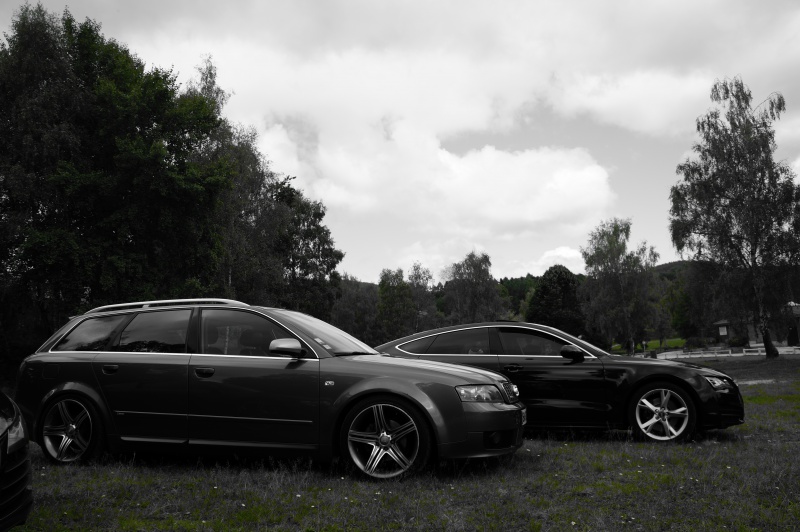 368228DSC00466.jpg