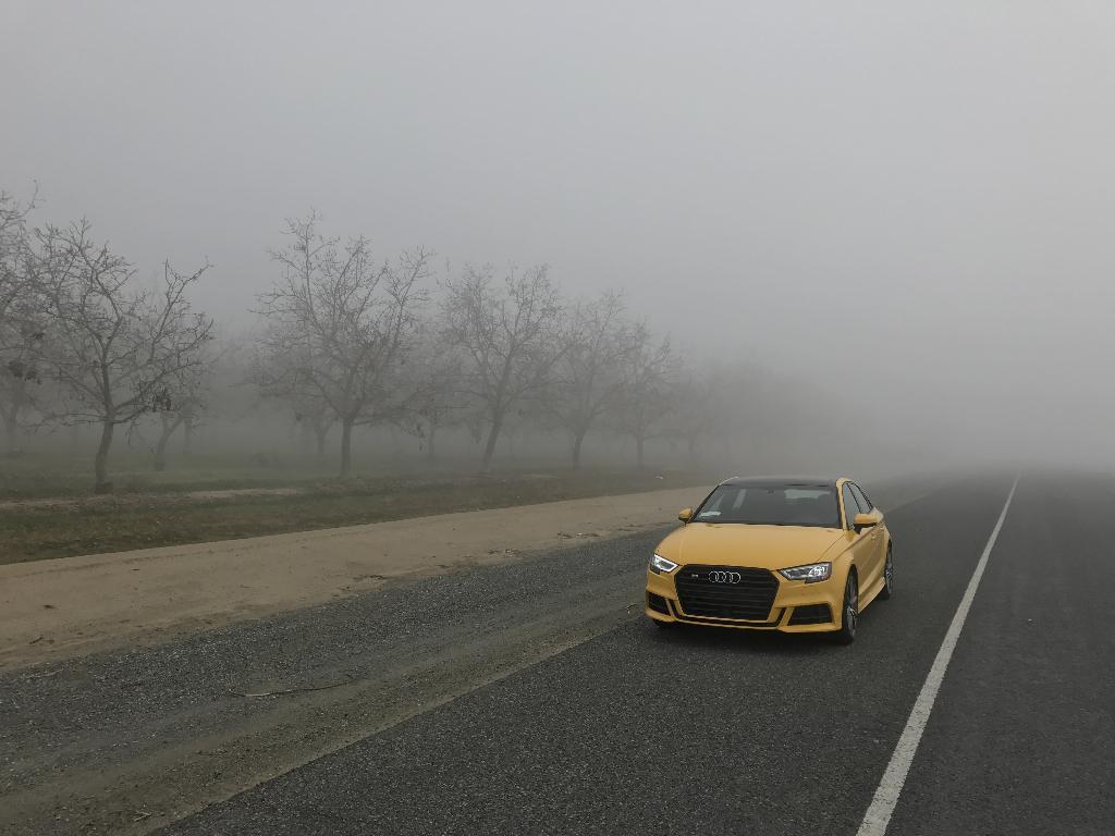 369166S38V2999.jpg