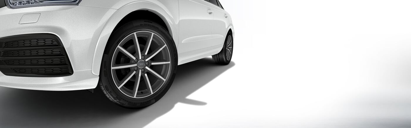 divers-q3-big.jpg?v=6