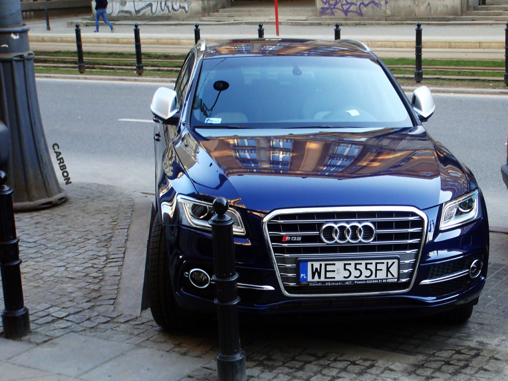 370258AUDISQ5351.jpg