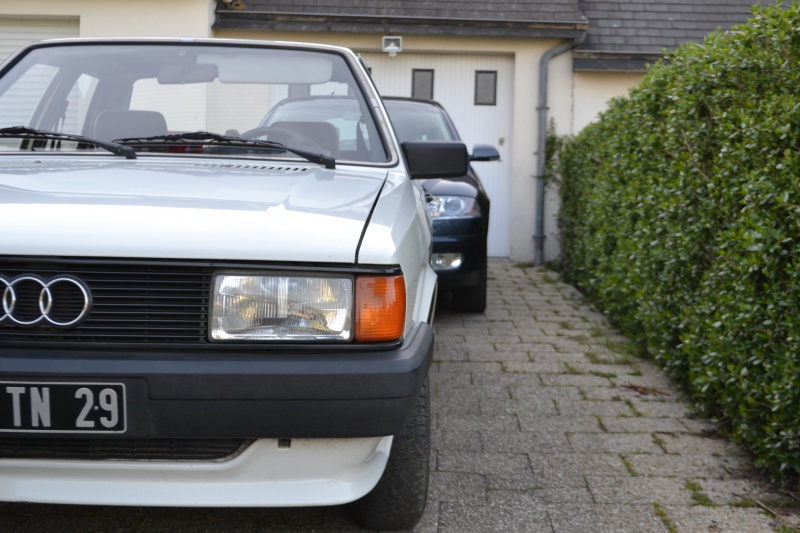 371408DSC0089219.jpg