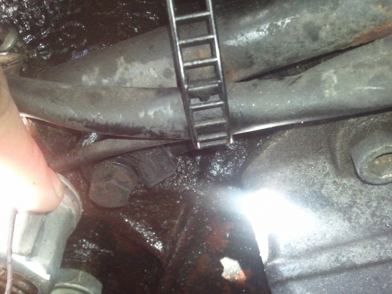 371489Photo6329.jpg