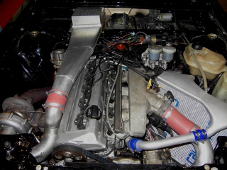 37347620v.jpg