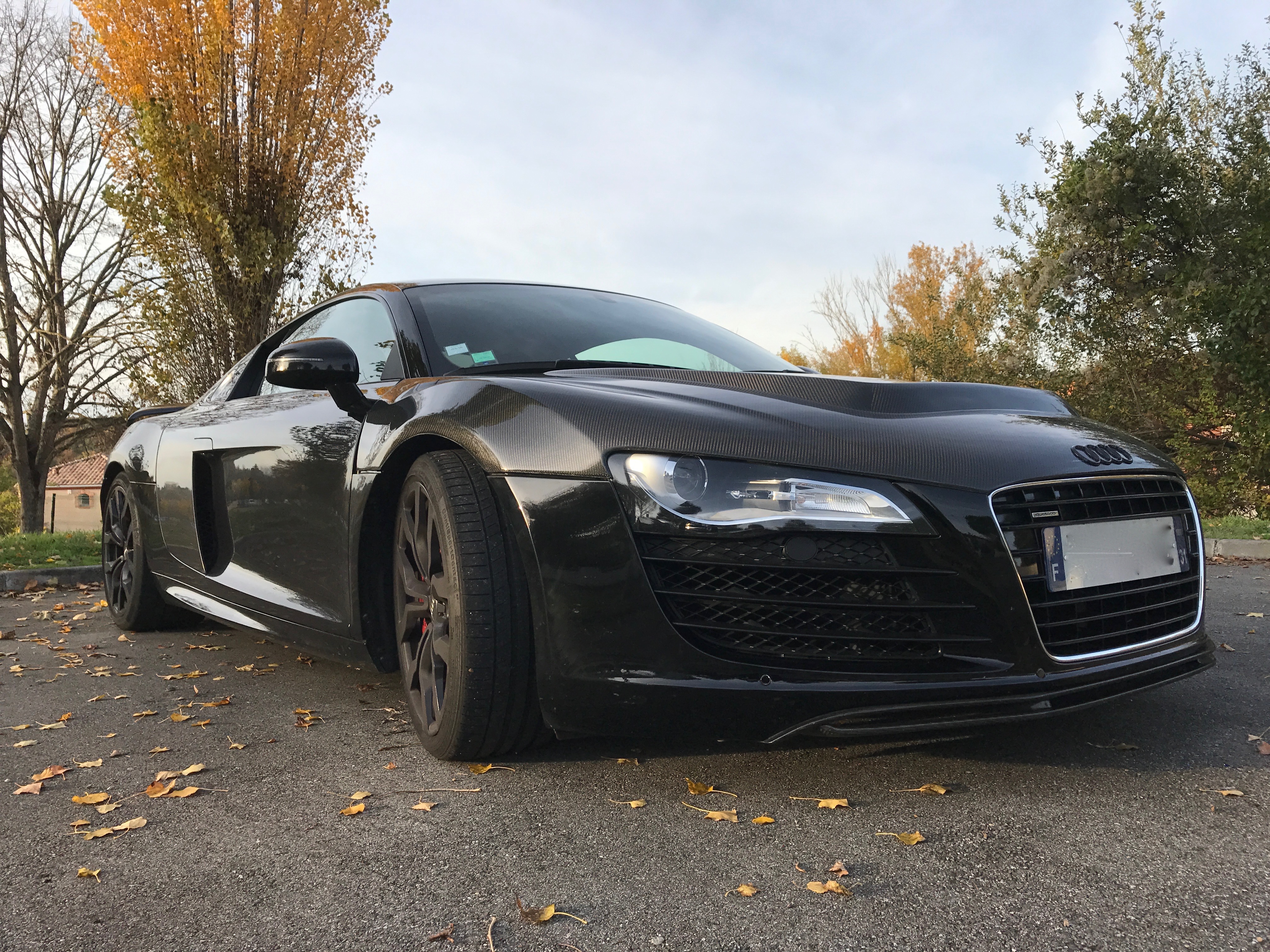 374601R8BlackMambav204.jpg