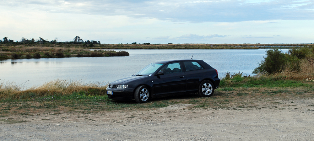 374616DSC8154b2.jpg