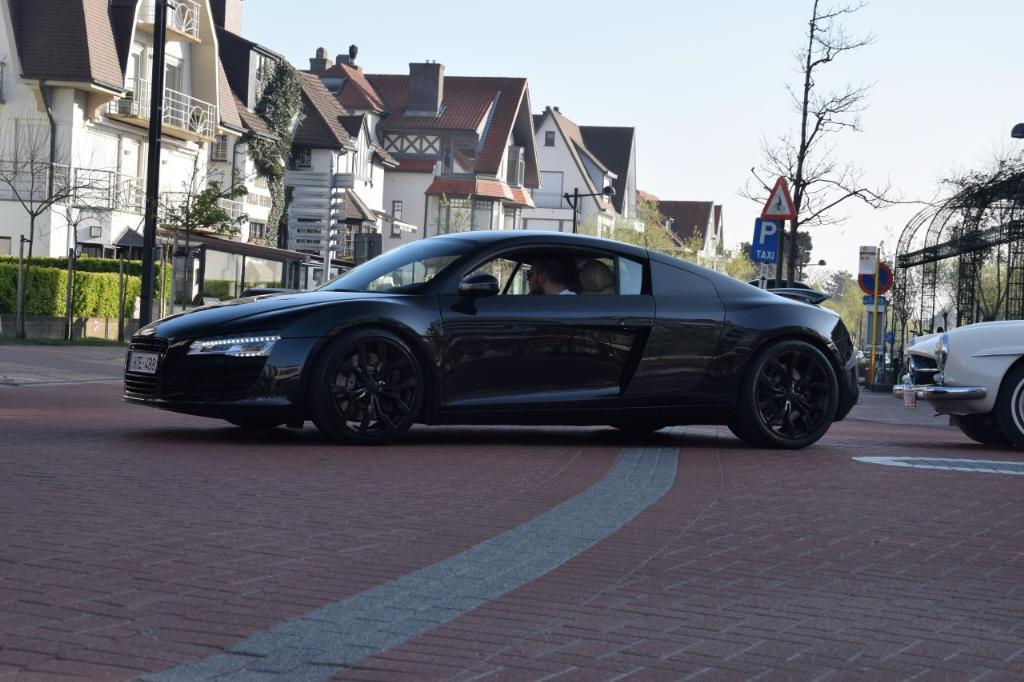 3768663075R8.jpg