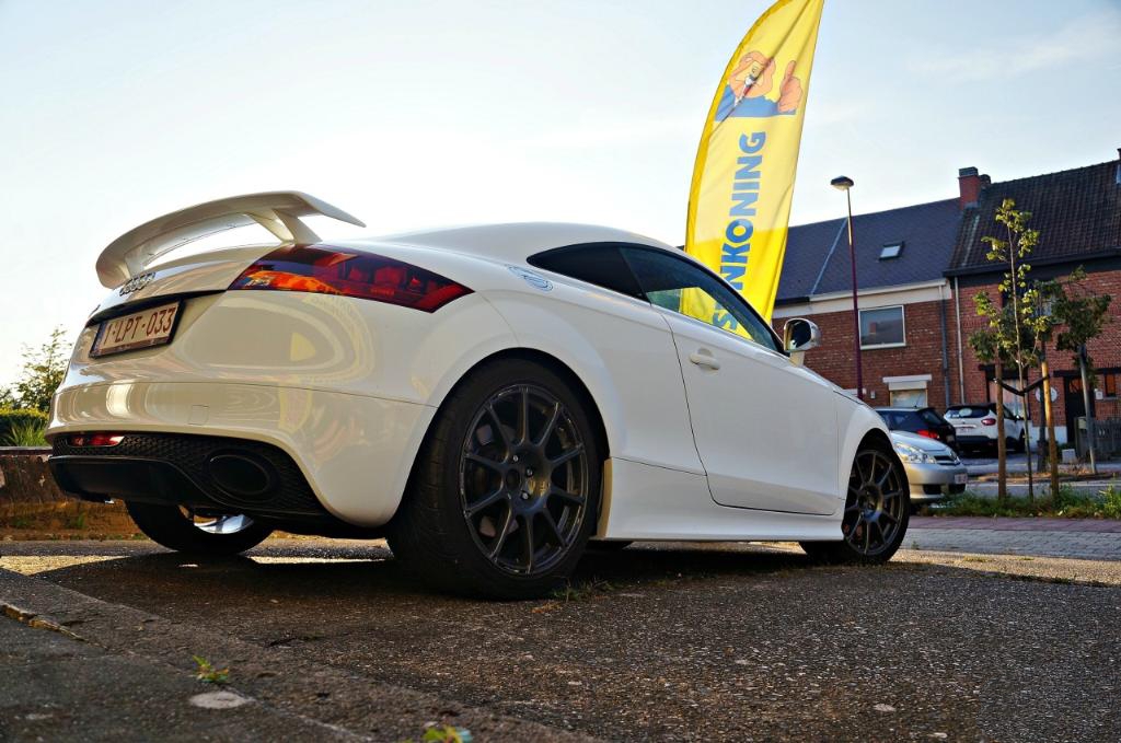377271AUDITTRS2244.jpg