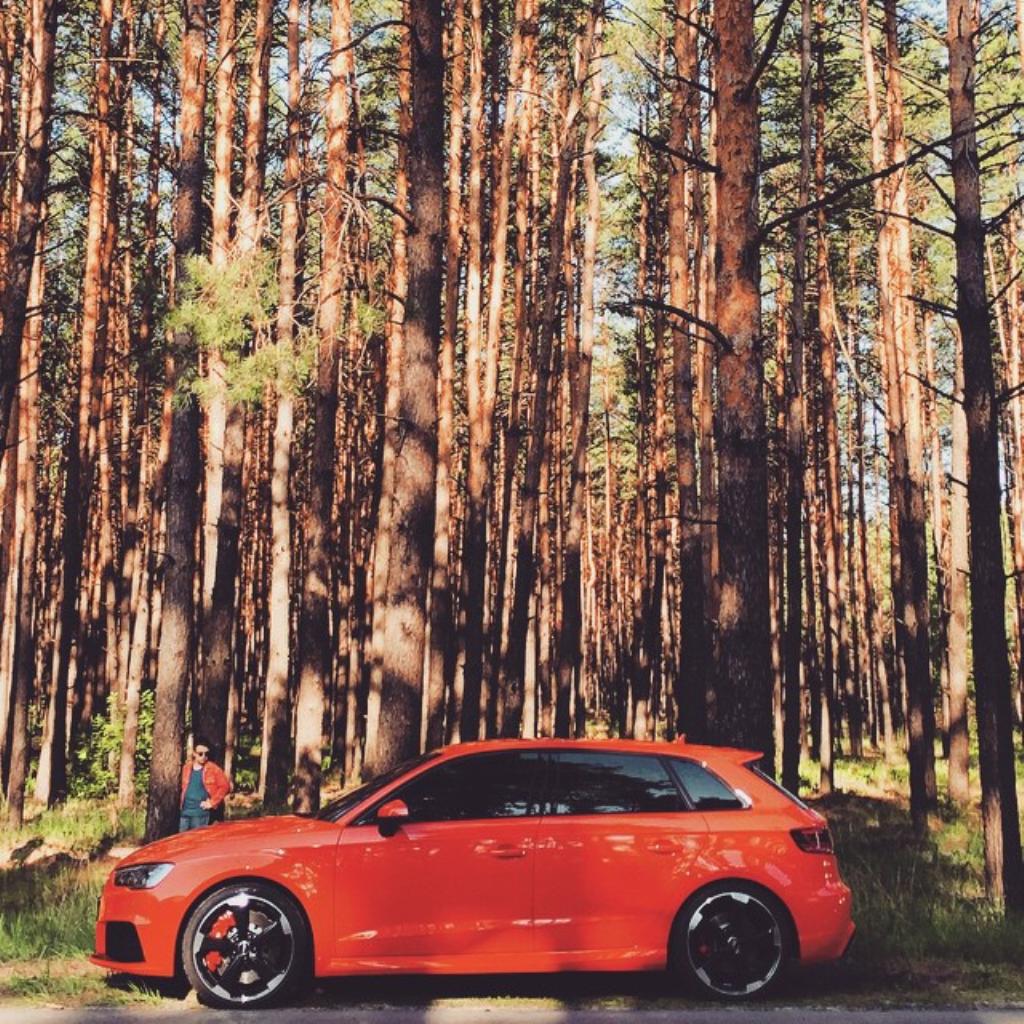 377510RS38V0217.jpg