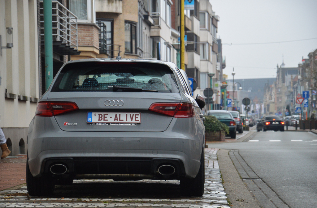 379807RS38V0856.jpg
