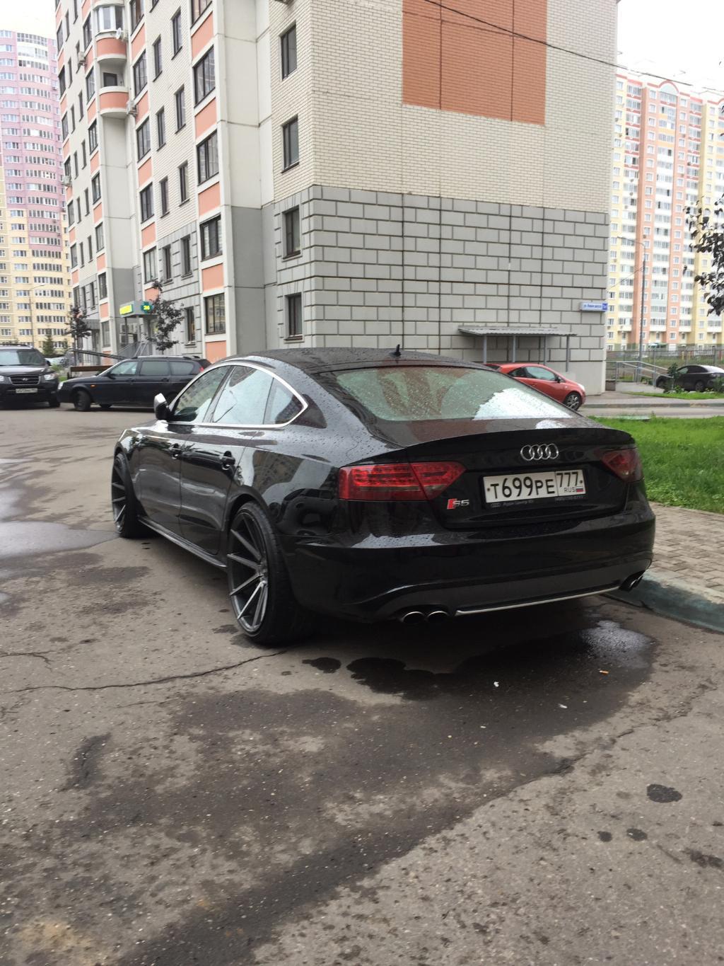 3810081036S5SPORTBACK.jpg