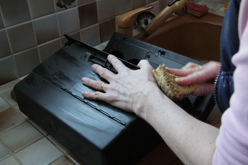381321IMG6188.jpg