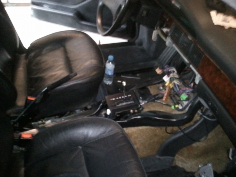 381573Photo6940.jpg