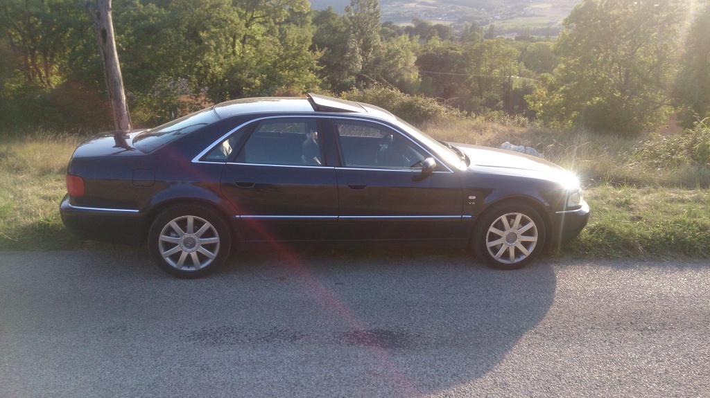 381656DSC1052.jpg