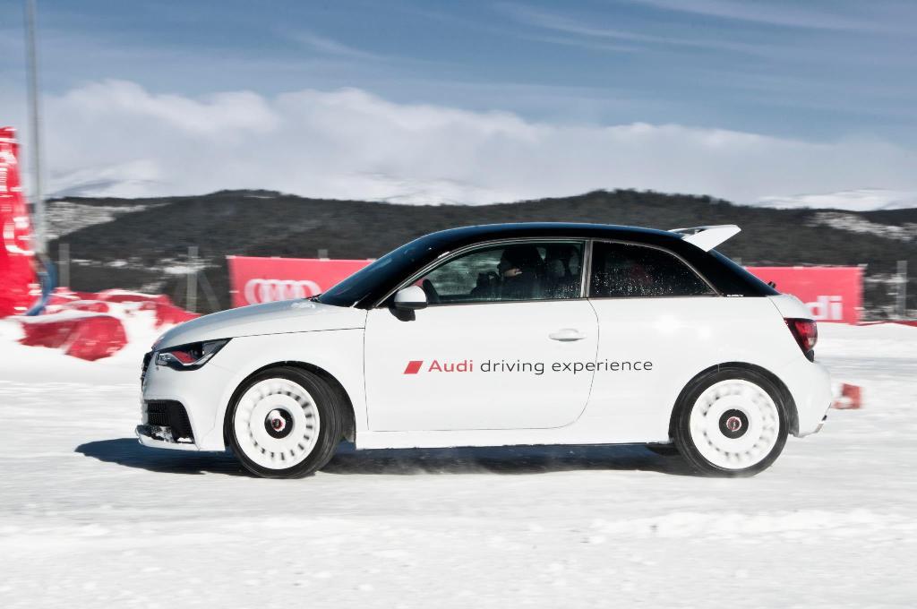 382761A1QUATTRO209.jpg