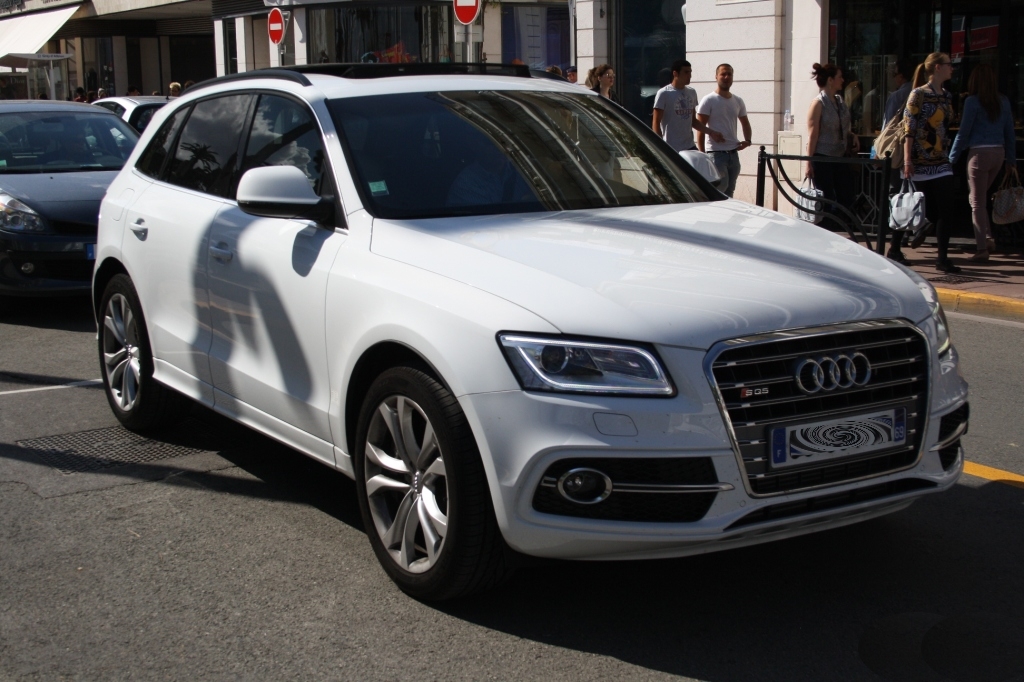 383059AUDISQ5604.jpg