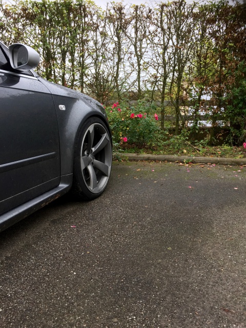 383144IMG27641.jpg