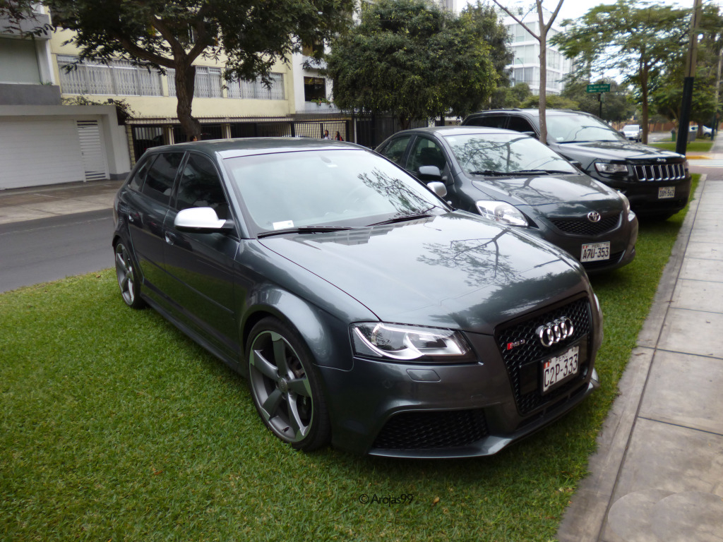 3839911762RS3.jpg