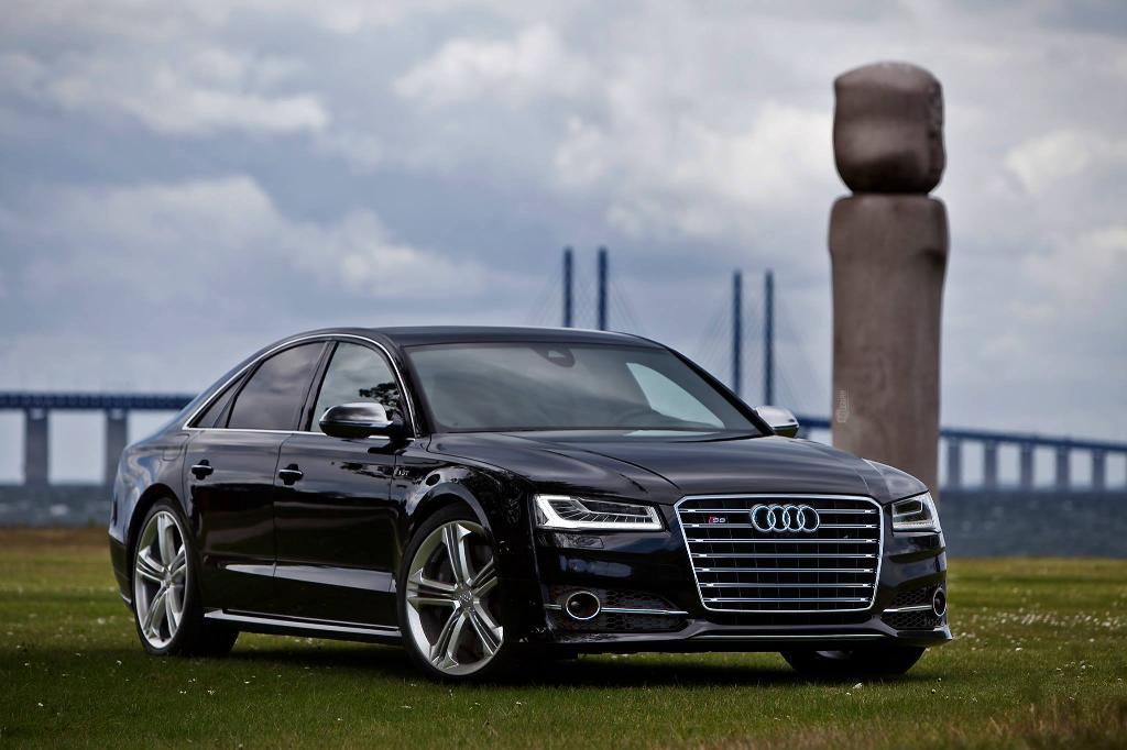 389849S8D41975.jpg
