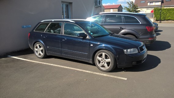 img-6479285d7e.jpg?v=1