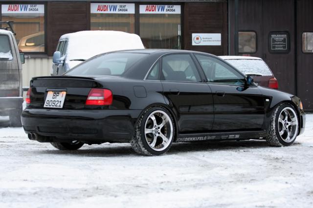 390177winter.jpg