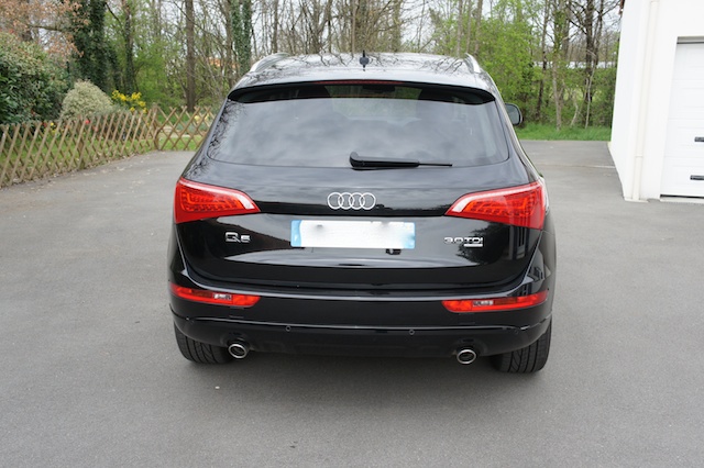 391583Q55.jpg