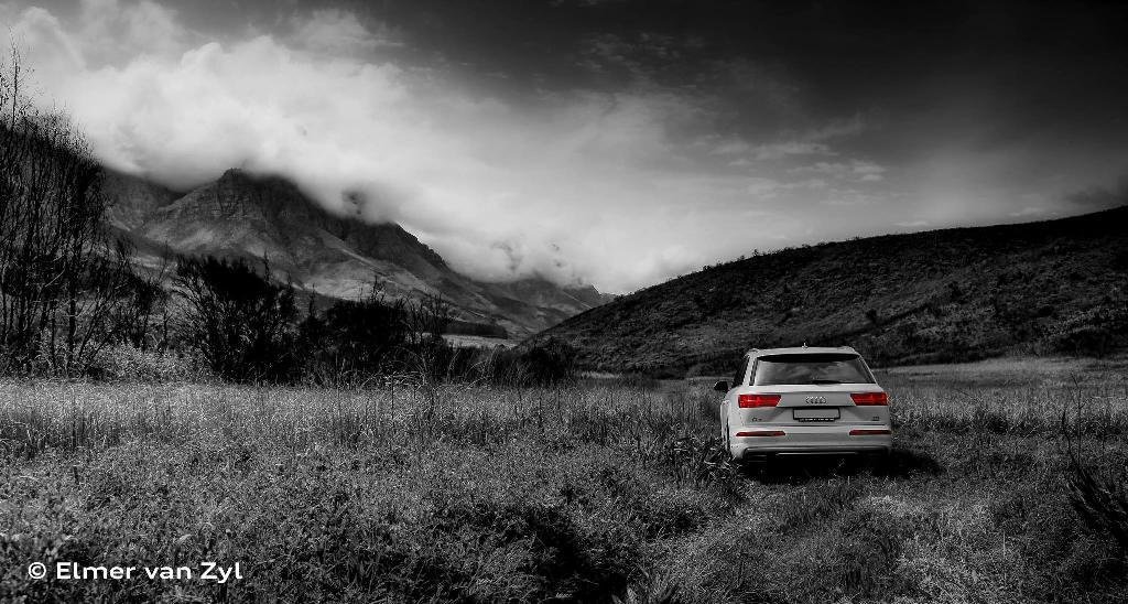 391893Q7MK21065.jpg