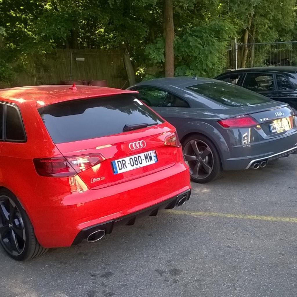 392320RS38V0370.jpg