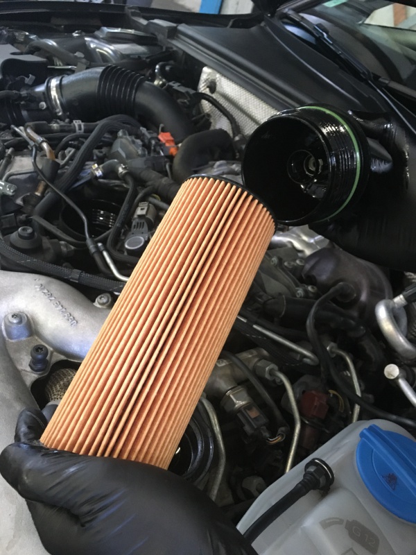 394659IMG8414.jpg